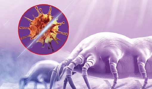 REAL-TIME MONITORING  OF UV STERILIZATION